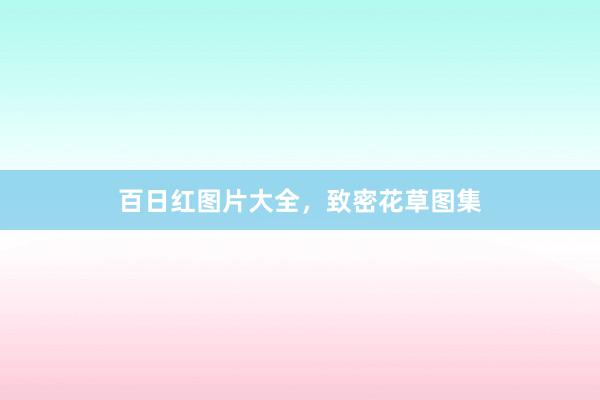 百日红图片大全，致密花草图集