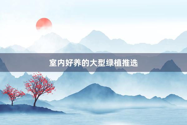 室内好养的大型绿植推选