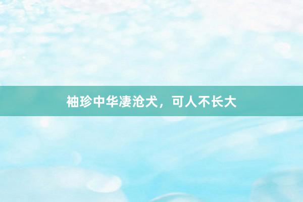 袖珍中华凄沧犬，可人不长大